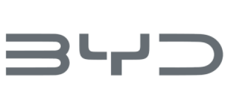 Logo BYD Banjarmasin